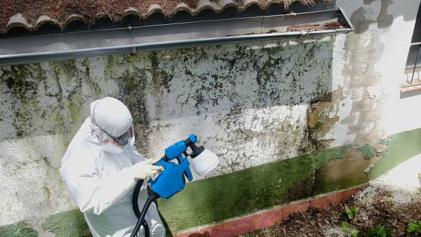 Top rated local Mold Remediation specialists in Coal Township, PA